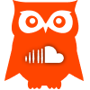 Blue Sky Owl Social Icon