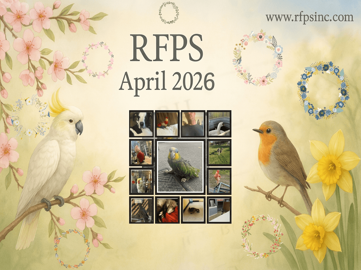 Ruffled Feathers Parrot Sanctuary homepage banner featuring floral April theme and rescue sanctuary branding